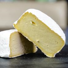WHITE LAKE BRUTON BRIE