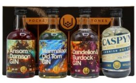 CASPYN CORNISH MARMALADE OLD TOM GIN 05CL 40%