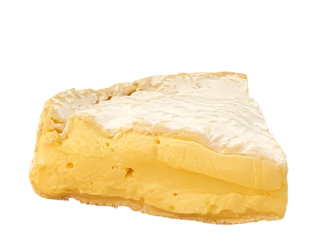 Sharpham Brie
