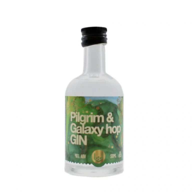 Pocketful of Stones Pilgrim Galaxy Hop Gin 05cl