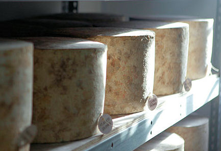 Somerset Cheeses