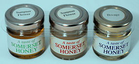 Sedgemoor Honey Giftset 3 X 42g (image 1)
