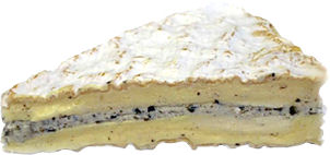 French Brie With Truffles