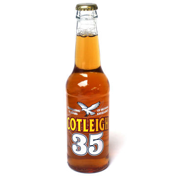 Cotleigh 35