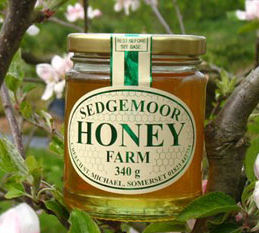 Sedgemoor Runny Honey 227g
