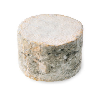 Perl Las Blue Cheese Whole Truckle