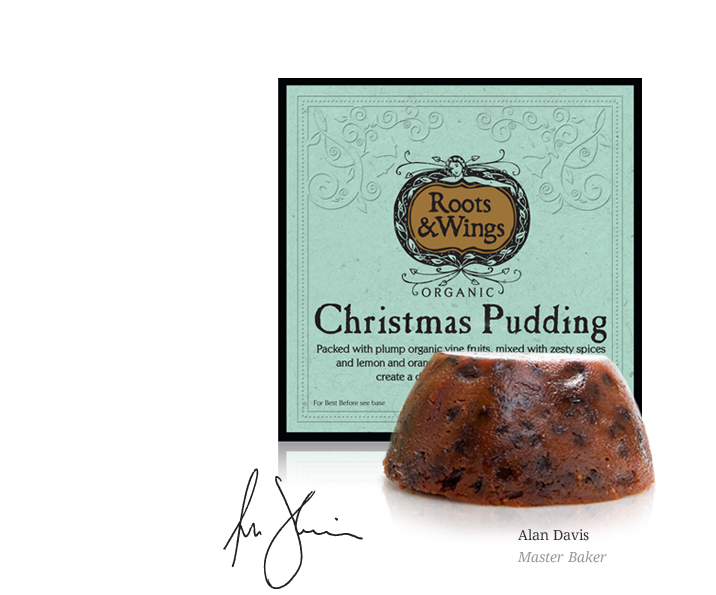 Roots and Wings Christmas Pudding 454g (image 2)