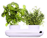 Sagaform Herb Pot Duo