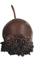 Dark Chocolate Cherries in Brandy Cerisettes 100g Cerisettes
