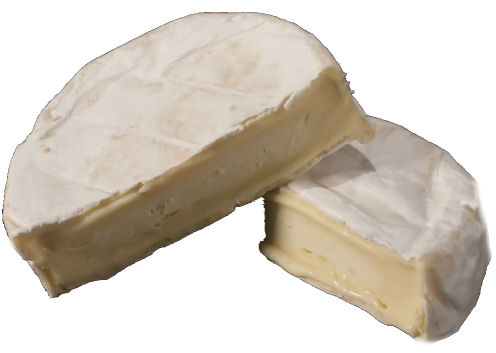 Wigmore Cheese